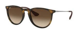 Ray-Ban Erika RB 4171 Sunglasses