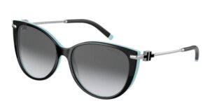Tiffany TF 4178 Sunglasses